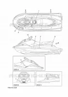 LABEL for Yamaha EX 2024