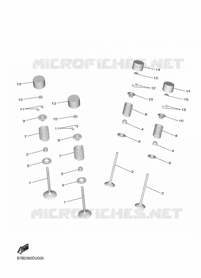 VALVE Yamaha MOTO 250 2024 YZF  YZ250FXR