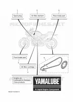 MAINTENANCE PARTS for Yamaha XSR 2024