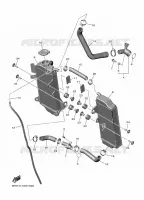 RADIATOR / HOSES for Yamaha YZF 2024