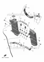 RADIATOR / HOSES for Yamaha YZF 2024