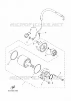 STARTER MOTOR for Yamaha TENERE 2024