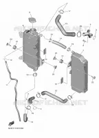 RADIATOR / HOSES for Yamaha YZF 2023