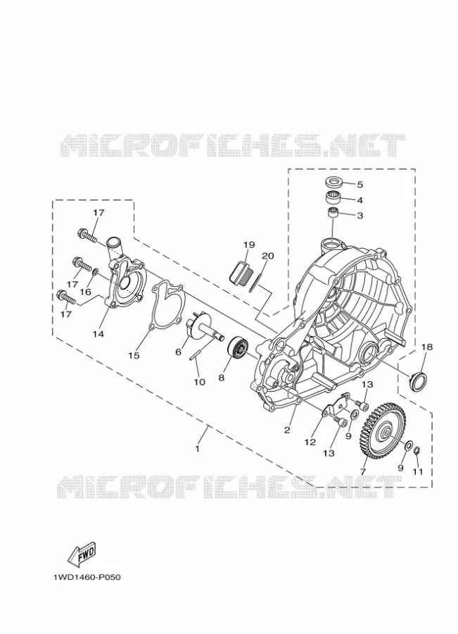WATERPUMP / HOSES Yamaha MOTO 300 2023 R3  YZFR3AP / YZF320-A