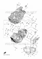 CRANKCASE for Yamaha YZF 2022