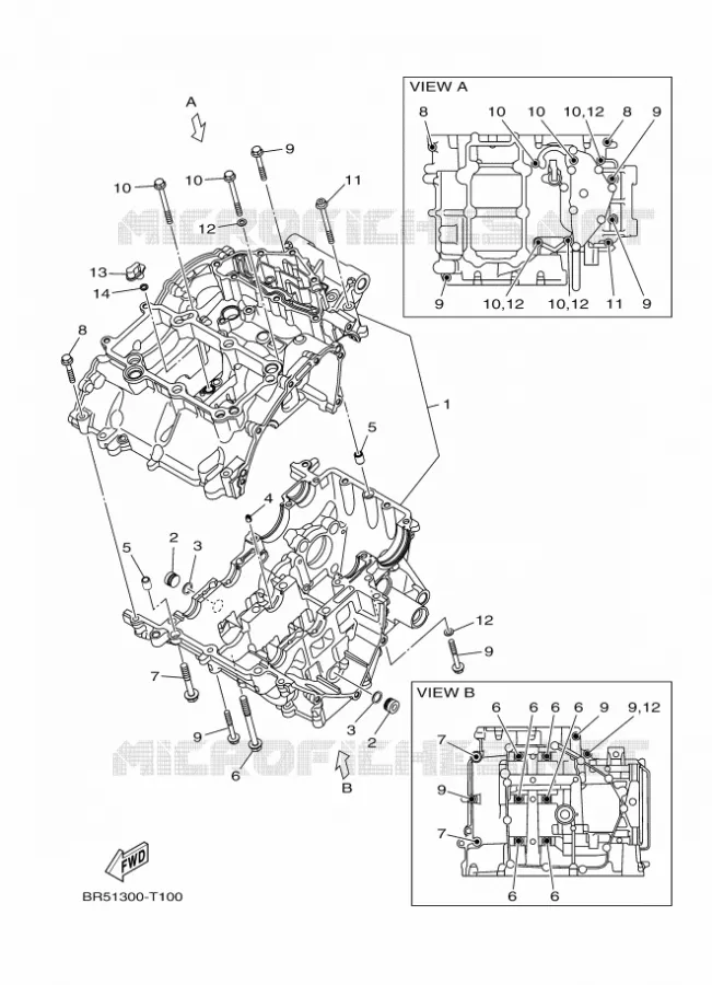 CRANKCASE Yamaha MOTO 300 2021 R3  YZF320-A
