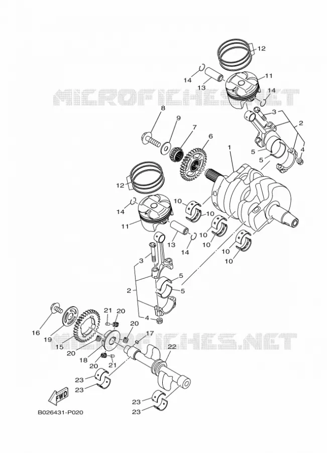 CRANKSHAFT / PISTON Yamaha MOTO 300 2021 R3  YZF320-A