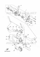 WATERPUMP / HOSES for Yamaha TRACER 2020