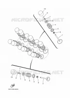 VALVE for Yamaha TRACER 2020