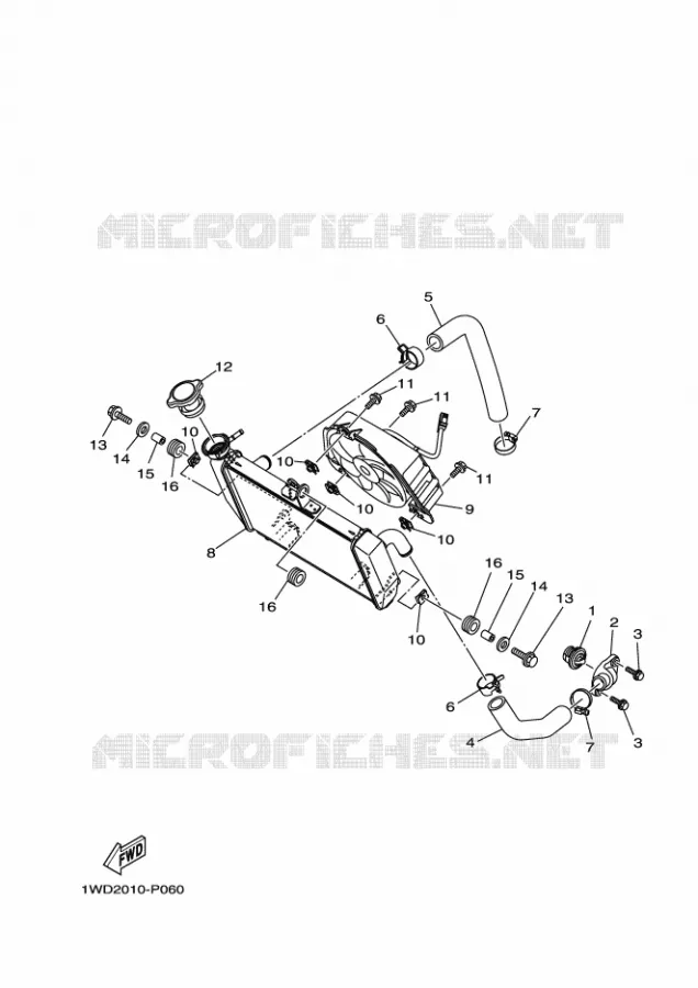 RADIATOR / HOSES Yamaha MOTO 300 2020 R3  YZFR3AL / YZF320-A