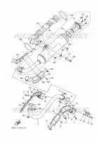 EXHAUST for Yamaha GRIZZLY 2024
