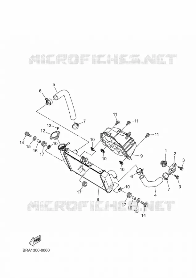 RADIATOR / HOSES Yamaha MOTO 300 2025 R3  YZF320-A