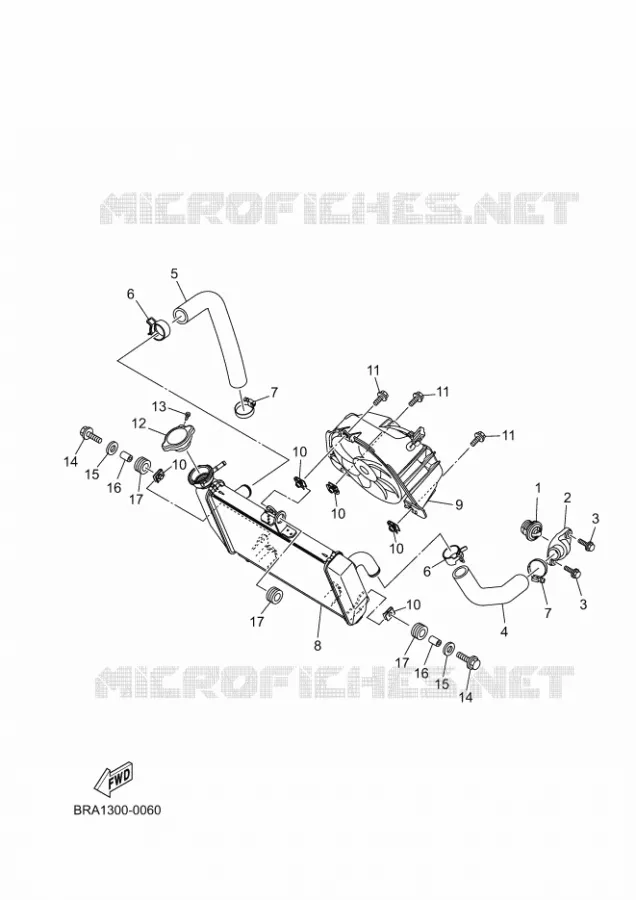 RADIATOR / HOSES Yamaha MOTO 300 2025 R3  YZF320-A