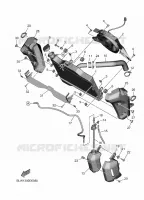 RADIATOR / HOSES for Yamaha MT 2025