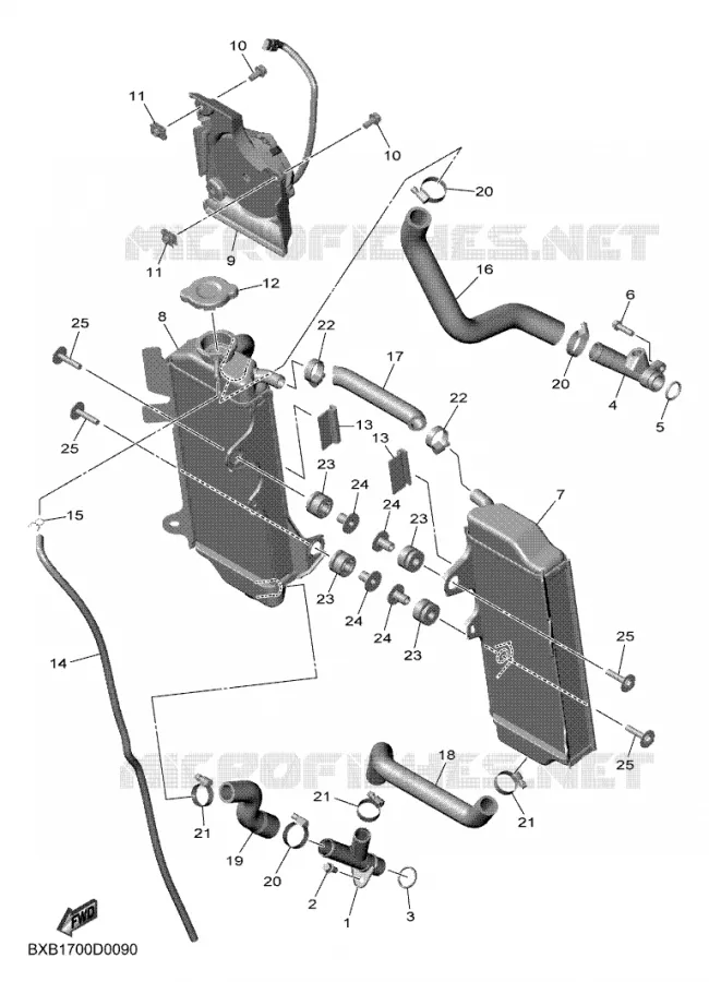 RADIATOR / HOSES Yamaha MOTO 250 2025 WRF  WR250F