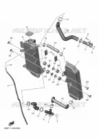 RADIATOR / HOSES for Yamaha YZF 2025