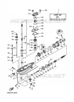 LOWER CASING & DRIVE 1 for Yamaha 40 2003
