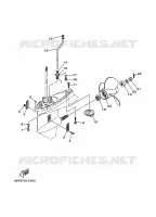 LOWER CASING & DRIVE 2 for Yamaha 55 2000