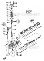 LOWER CASING & DRIVE for Yamaha 55 1997