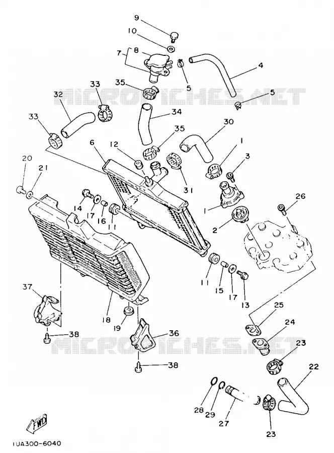 RADIATOR / HOSES Yamaha MOTO 350 1986 RDLC  RD350LC (37KW)