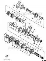 TRANSMISSION for Yamaha TRX 1997
