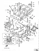 CRANKCASE for Yamaha TRX 1998