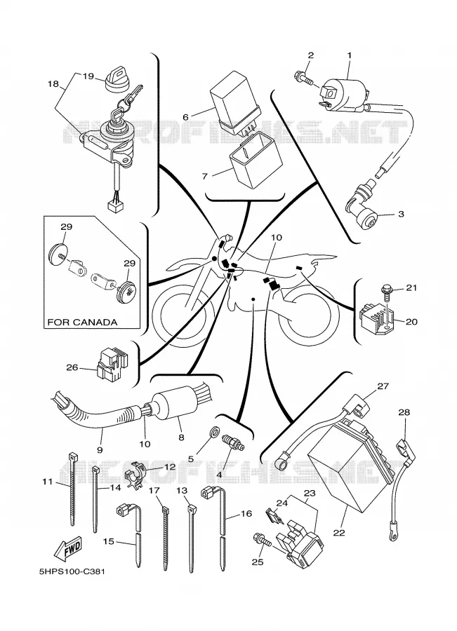 ELECTRICAL 1 Yamaha MOTO 125 2004 TTR  TTR125LE