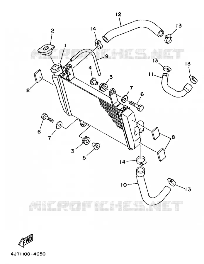 RADIATOR / HOSES Yamaha MOTO 125 1994 TZ  TZ125