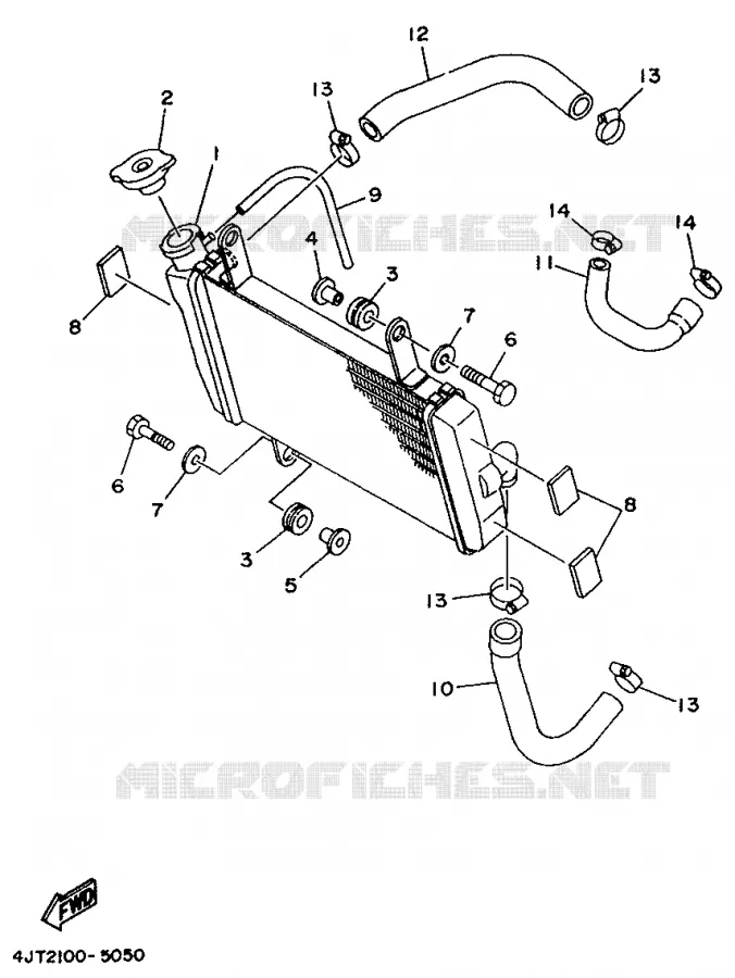 RADIATOR / HOSES Yamaha MOTO 125 1997 TZ  TZ125
