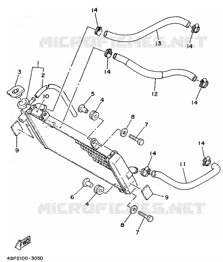 RADIATOR / HOSES Yamaha MOTO 250 1993 TZ  TZ250