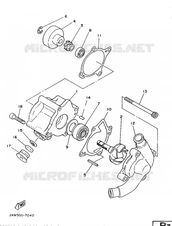 WATERPUMP Yamaha MOTO 250 1987 TZ  TZ250T