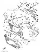 RADIATOR / HOSES for Yamaha TZR 1989