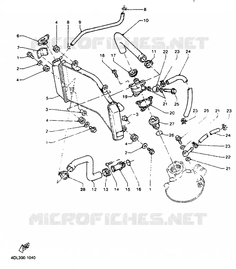 RADIATOR / HOSES Yamaha MOTO 125 1992 TZR  TZR125R