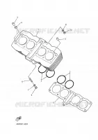 CYLINDER for Yamaha DIVERSION 2001