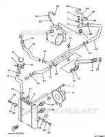 RADIATOR / HOSES for Yamaha MAJESTY 1998