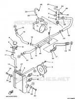 RADIATOR / HOSES for Yamaha MAJESTY 1998