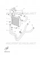 RADIATOR / HOSES for Yamaha AEROX 2008