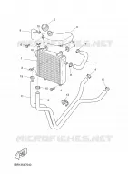 RADIATOR / HOSES for Yamaha AEROX 2006