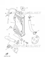 RADIATOR / HOSES for Yamaha YZ 2001