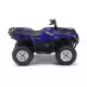 700 2009 GRIZZLY YFM700FWBD